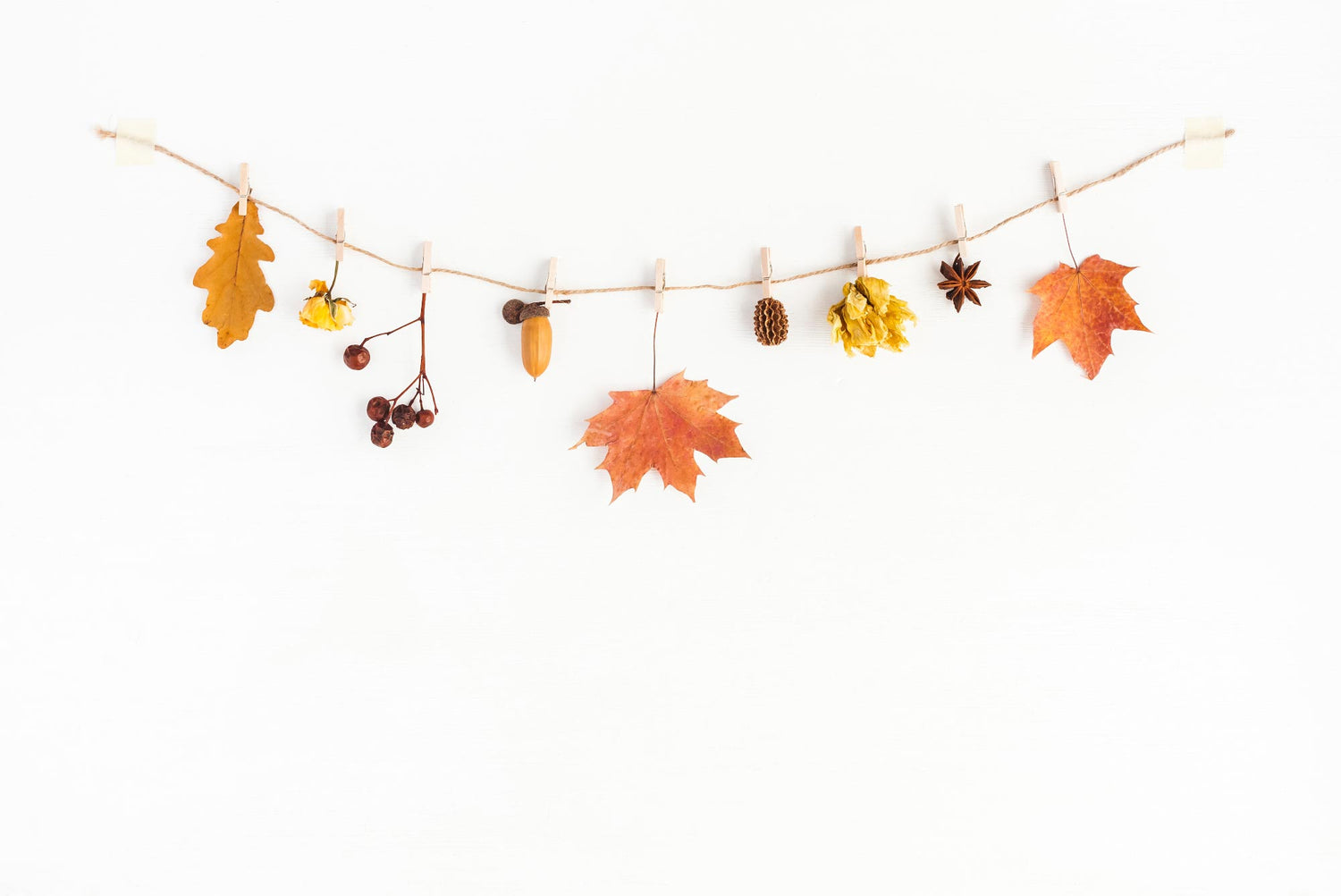 autumn leaves colours white wood