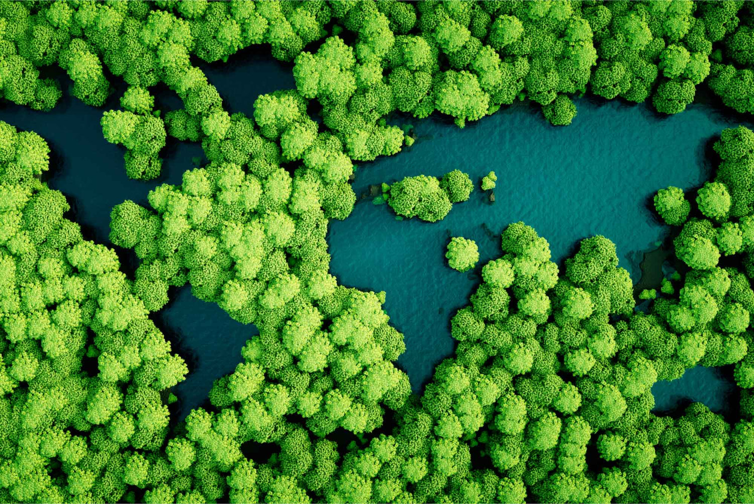 Image of Celebrating Earth Day