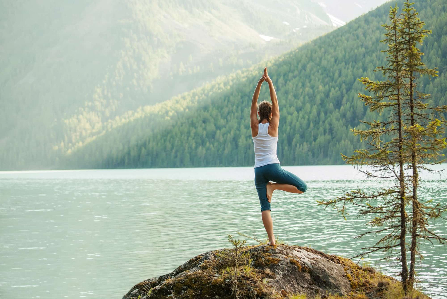 Image of Urban Veda Ayurvedic Yoga