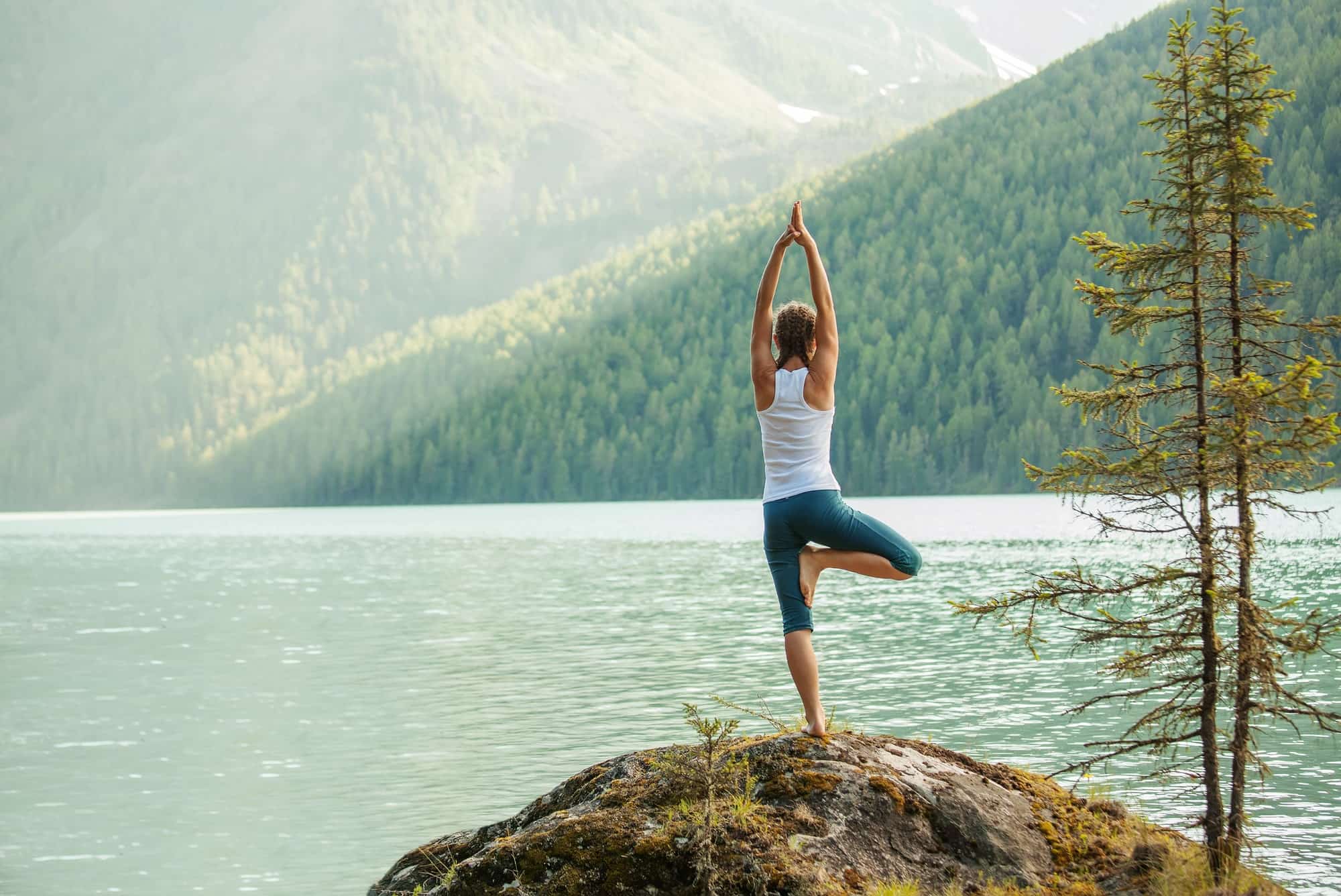 Image of Urban Veda Ayurvedic Yoga
