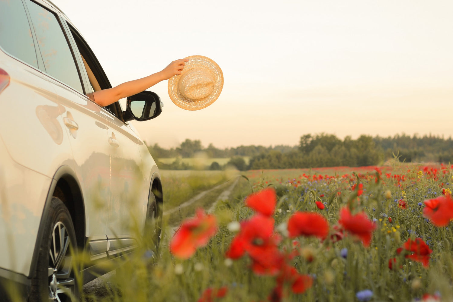 Image of Urban Veda road trip